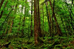 英雄联盟总决赛赛程-绝杀之夜，2026世界杯C组上演经典逆袭，沙特铁血防反击沉哥伦比亚，布罗佐维奇中场封神