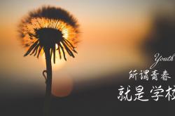 -唯一性的审判，当2026世界杯生死战成为文明对抗的镜像