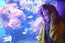 英雄联盟总决赛门票-弗拉霍维奇独造三球，巴萨友谊赛逆转阿尔及利亚全明星队