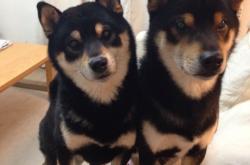 英雄联盟总决赛门票-格局重塑之夜！国米混凝土防线凿穿拜仁，欧冠巅峰战改写欧洲权力版图