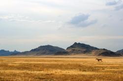 LOL决赛-节奏大师奥利维耶完全掌控，马赛加时赛艰难取胜阿尔及利亚