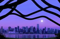 英雄联盟总决赛直播-方盾亦能定江山，戈贝尔在年度焦点战中重定义接管比赛