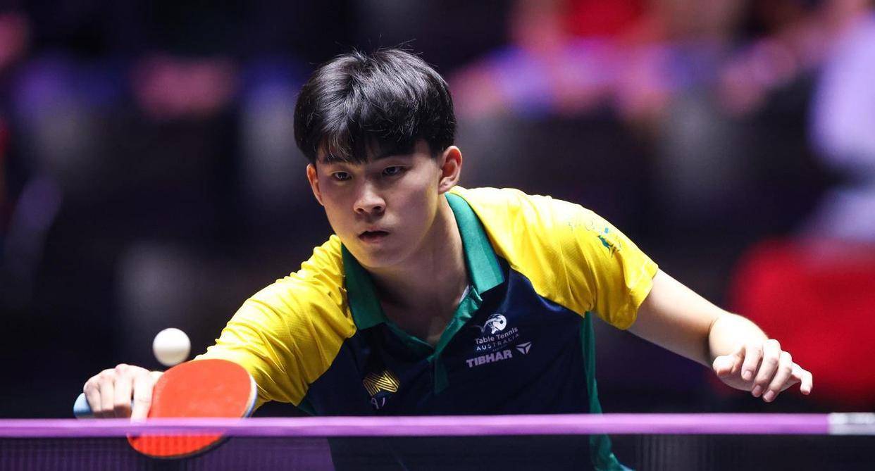 法国队横扫韩国队，张本智和统治全场的简单介绍