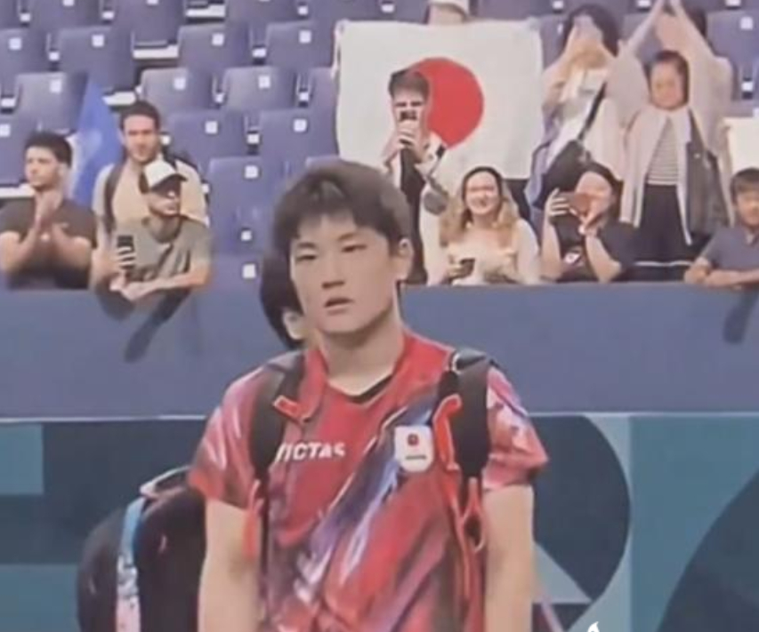 法国队横扫韩国队，张本智和统治全场的简单介绍