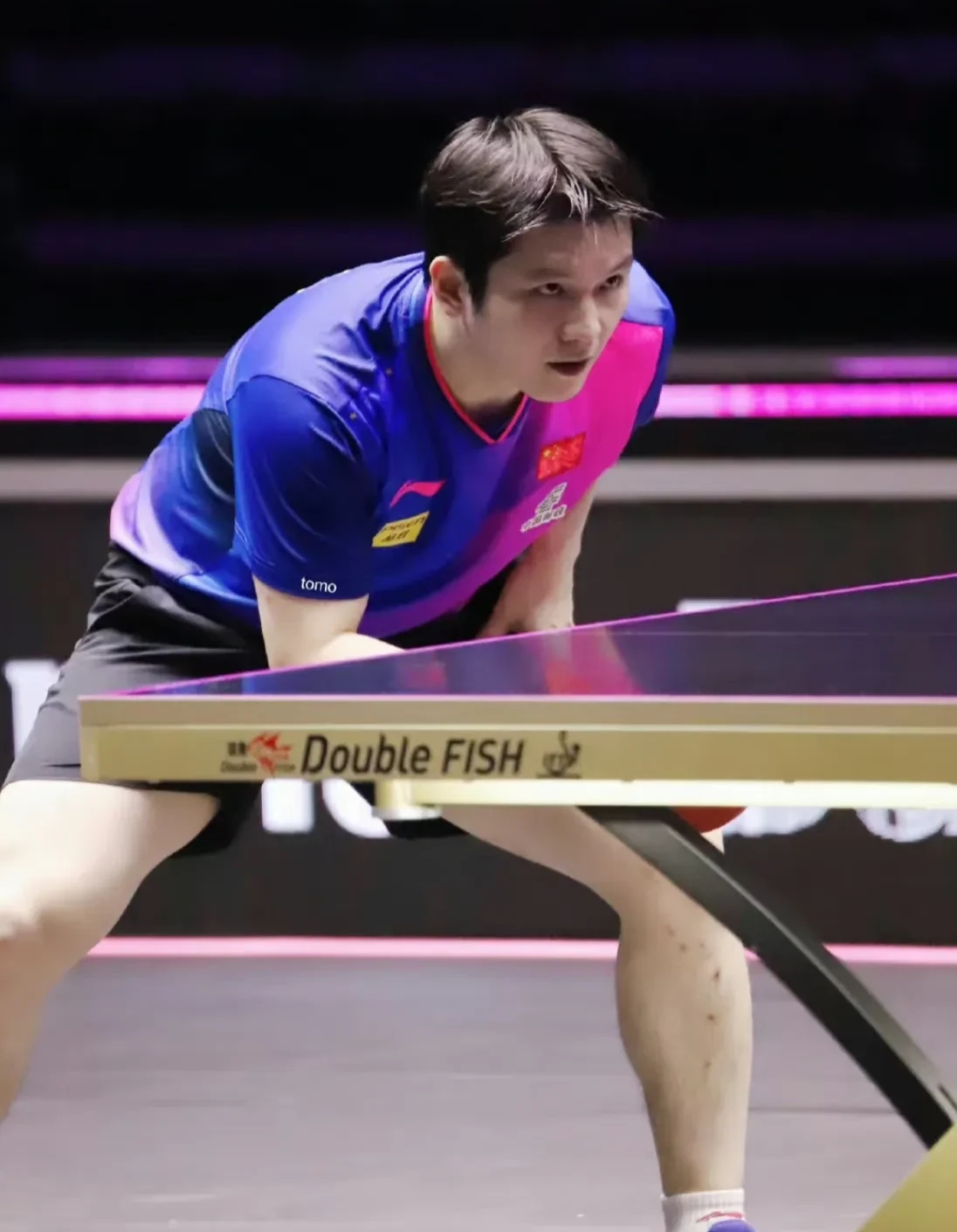 奥地利队力克波兰队，樊振东高光表现的简单介绍