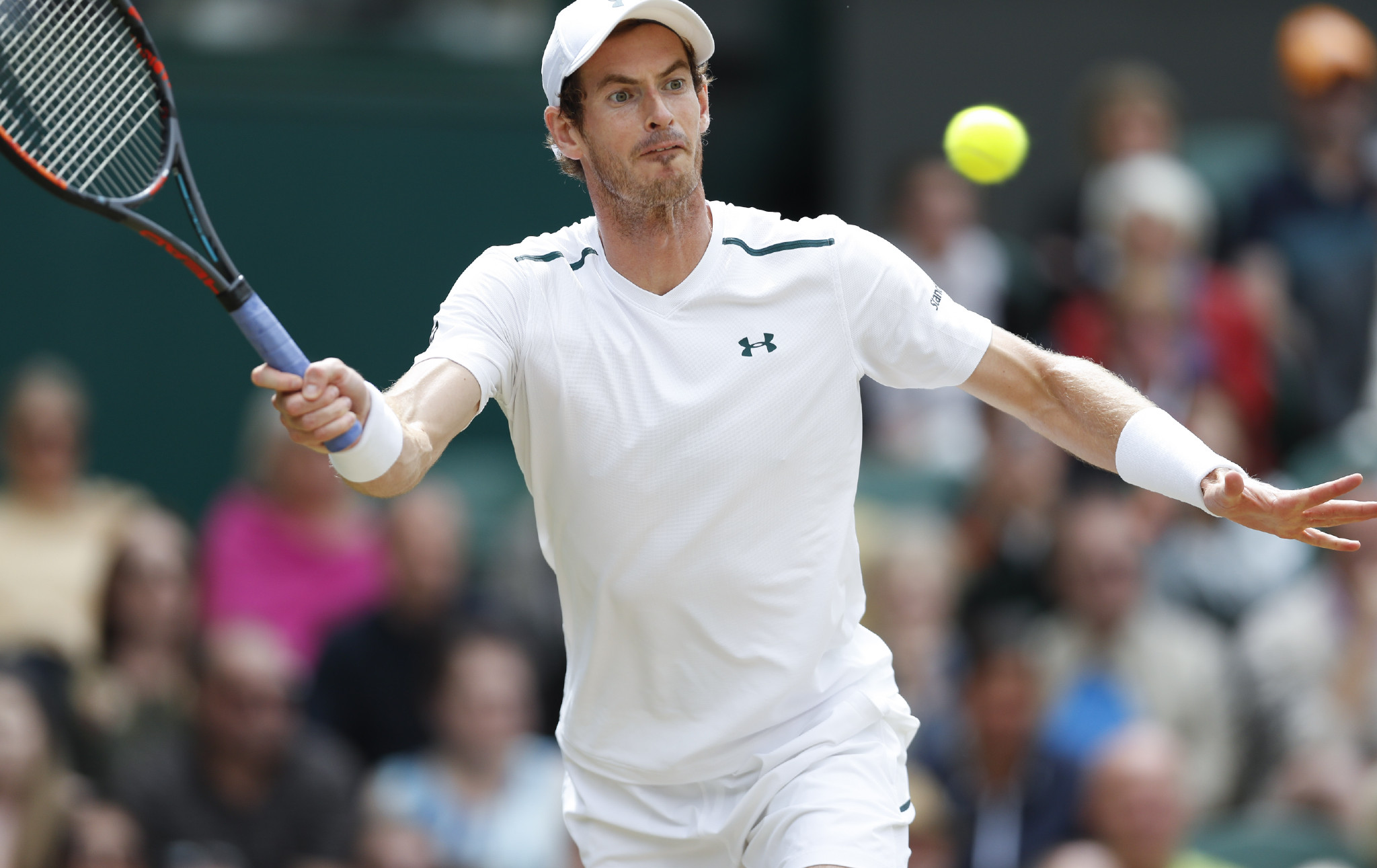 美网横扫温网，穆雷点燃赛场的简单介绍