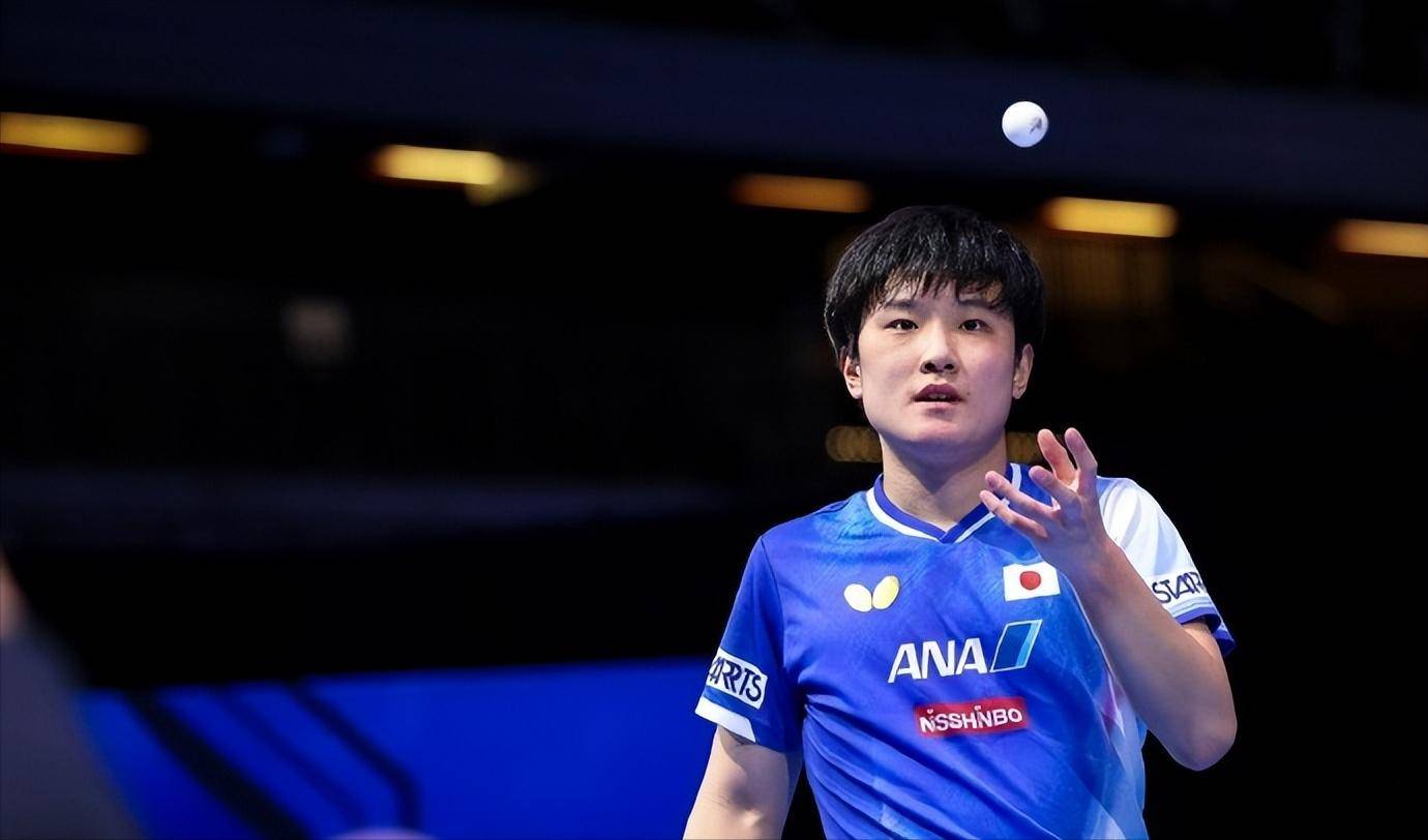 德国队翻盘波兰队，张本智和状态火热