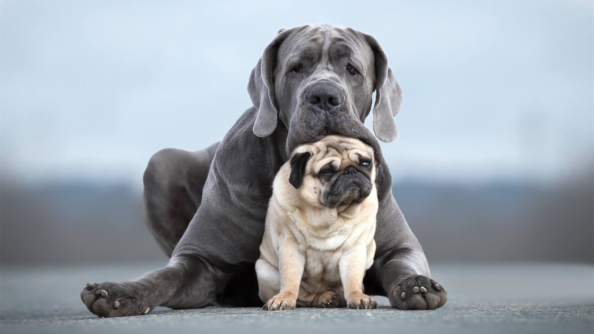 新王炸！贝恩扛起活塞进攻大旗，魔术主场黯然失色