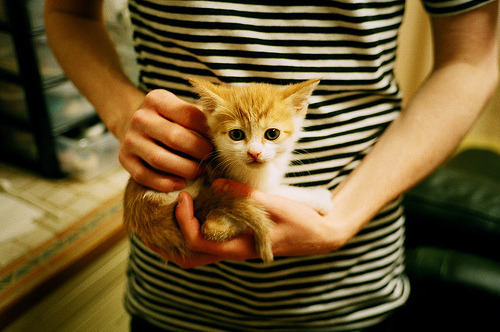 铁幕下的独舞，当热火窒息式防守遇见拉梅洛无解突破