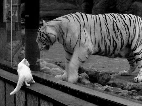 德罗赞封神夜！末节17分导演逆转，黄蜂撕碎雷霆迎关键一胜