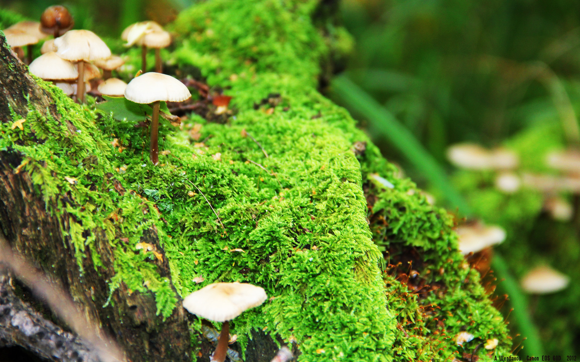 红蓝极速对决，赛道直道上的足球德比—解码一场逆风翻盘的冠军逻辑