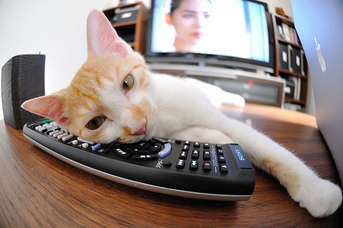 战术革命，巴斯托尼的后腰化助攻如何击穿米兰，拜仁却笑到了最后？