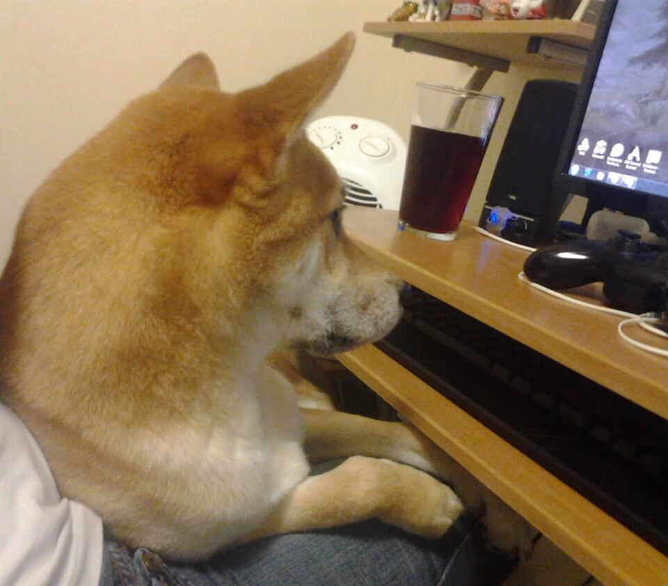 二轮秀的逆袭之夜,贝恩生涯最高分狙击字母哥里程碑