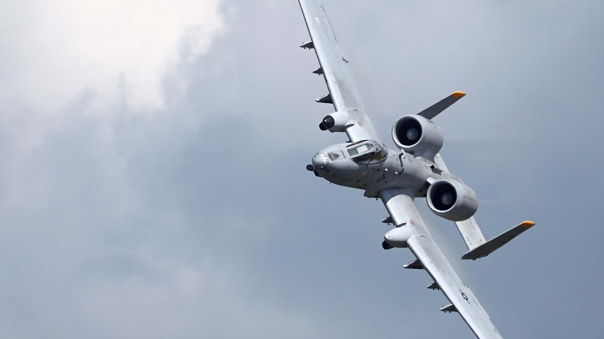 铁骑踏碎蜂巢,跨洋焦点战中辽宁队演绎异次元防守征服战