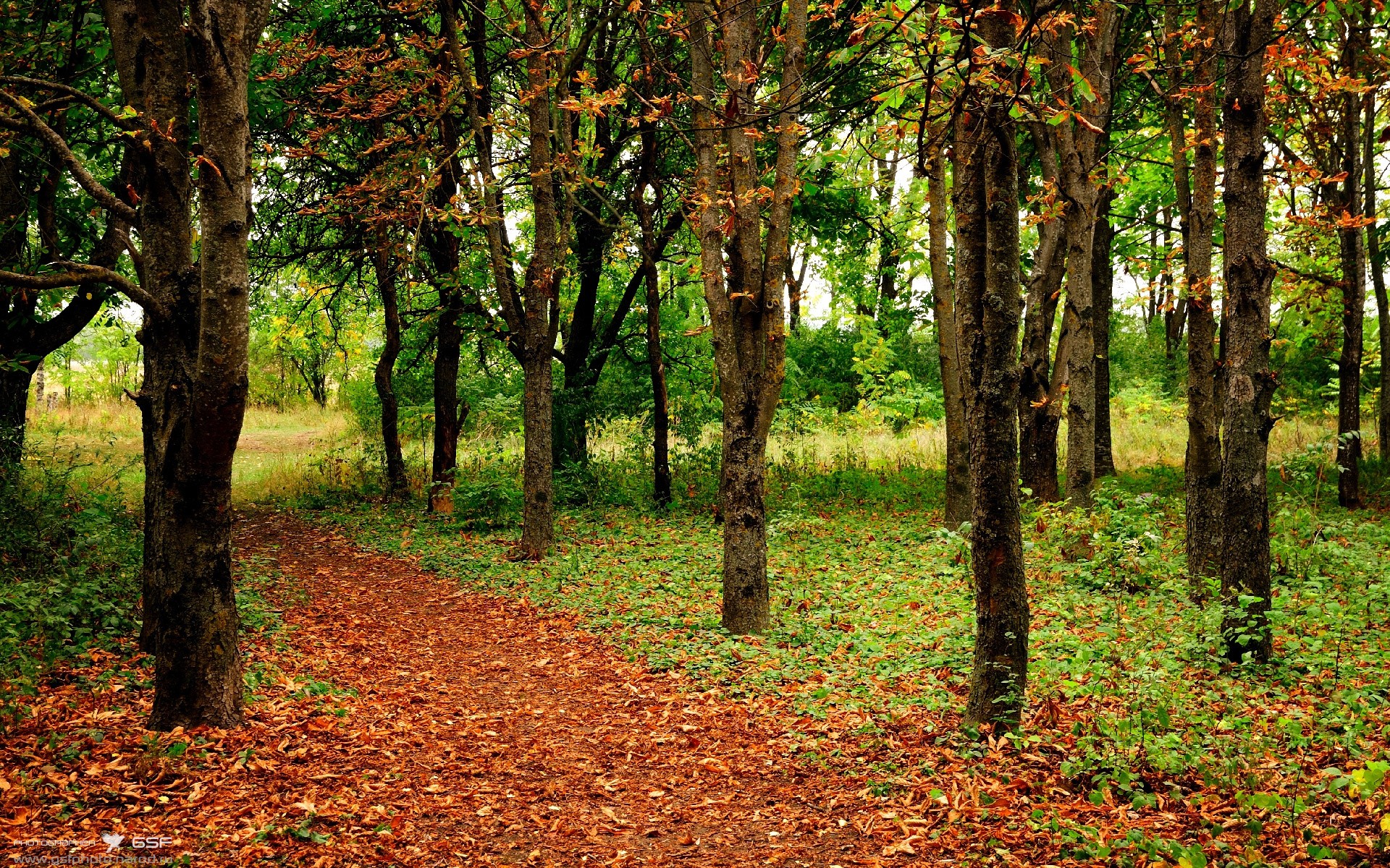 西决生死战之夜，弗拉霍维奇，一记射门与瓦尔哈拉的杀戮艺术