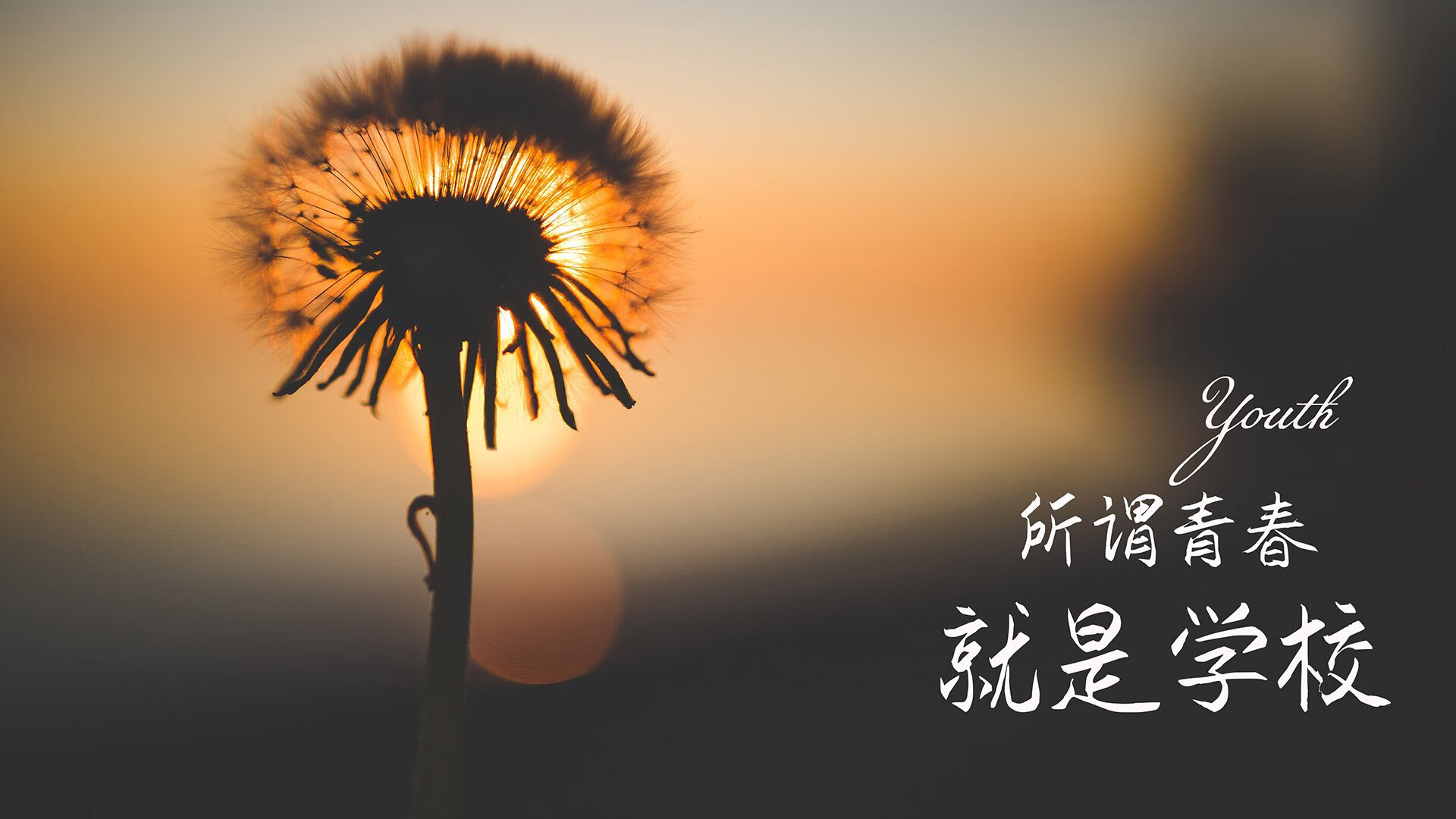 这是一篇为您定制的文章,标题通过列支敦士登的钟表匠与中亚狼的意象对比,突出瑞士的精密与碾压感,同时将贝林厄姆的抢眼描述为一种近乎跨界的震撼