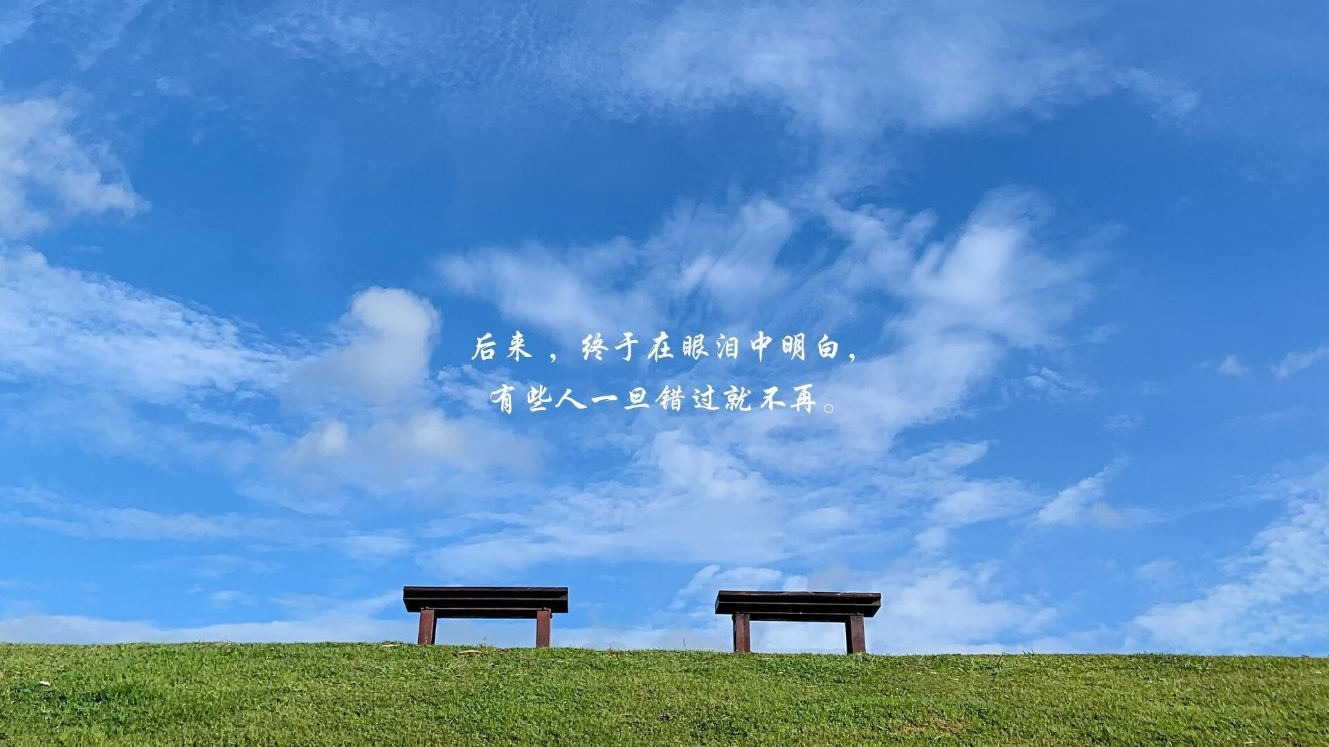 2026世界杯历史重演,波兰逆转比利时,维尼修斯带队开启翻盘之夜