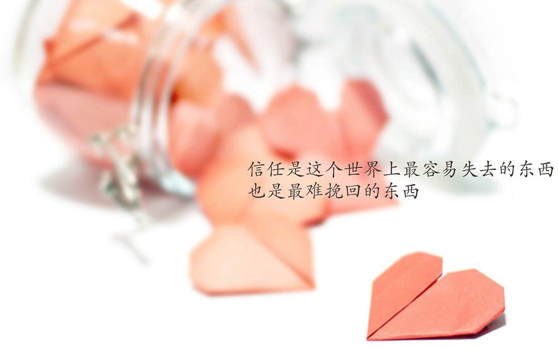 当唯一吞噬绝对—2026世界杯D组，范戴克与哥斯达黎加如何让碾压成为足球哲学