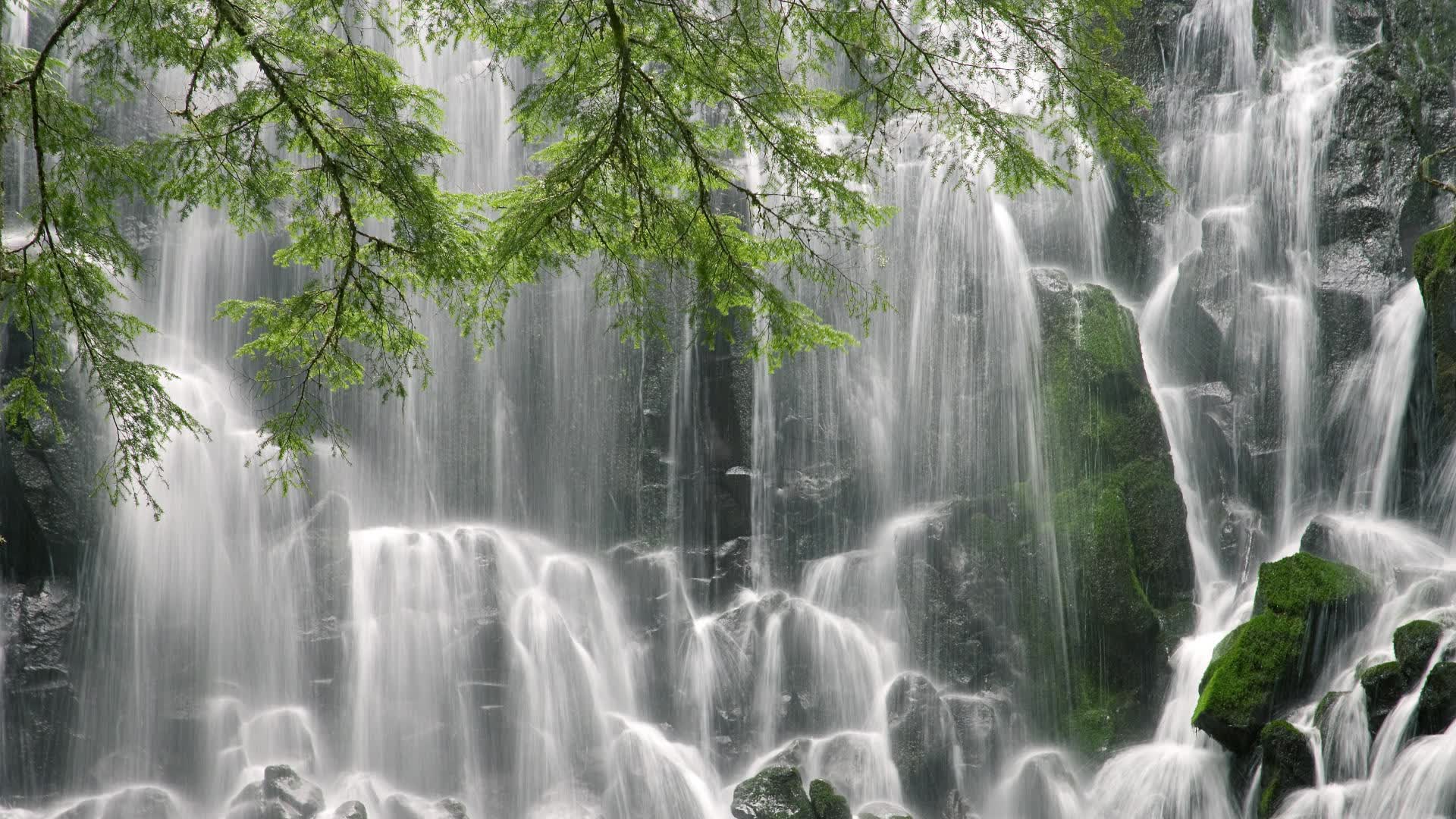 沙漠之狐的致命獠牙，突尼斯如何在2026世界杯H组用控球碾压塞尔维亚，拉什福德一剑封喉