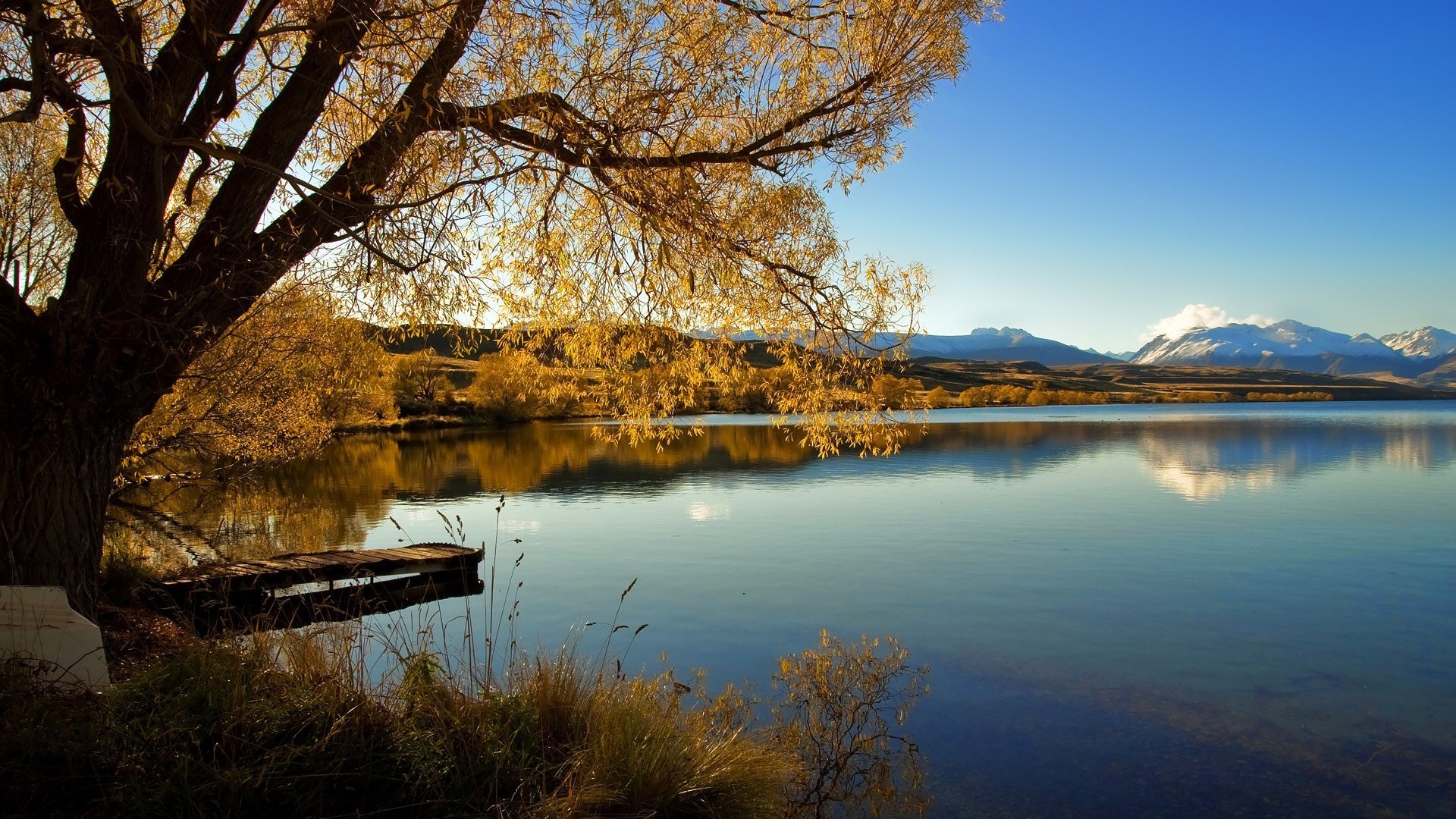2026复仇战，波兰铁骑碾碎沙特，罗德里戈领衔新王加冕