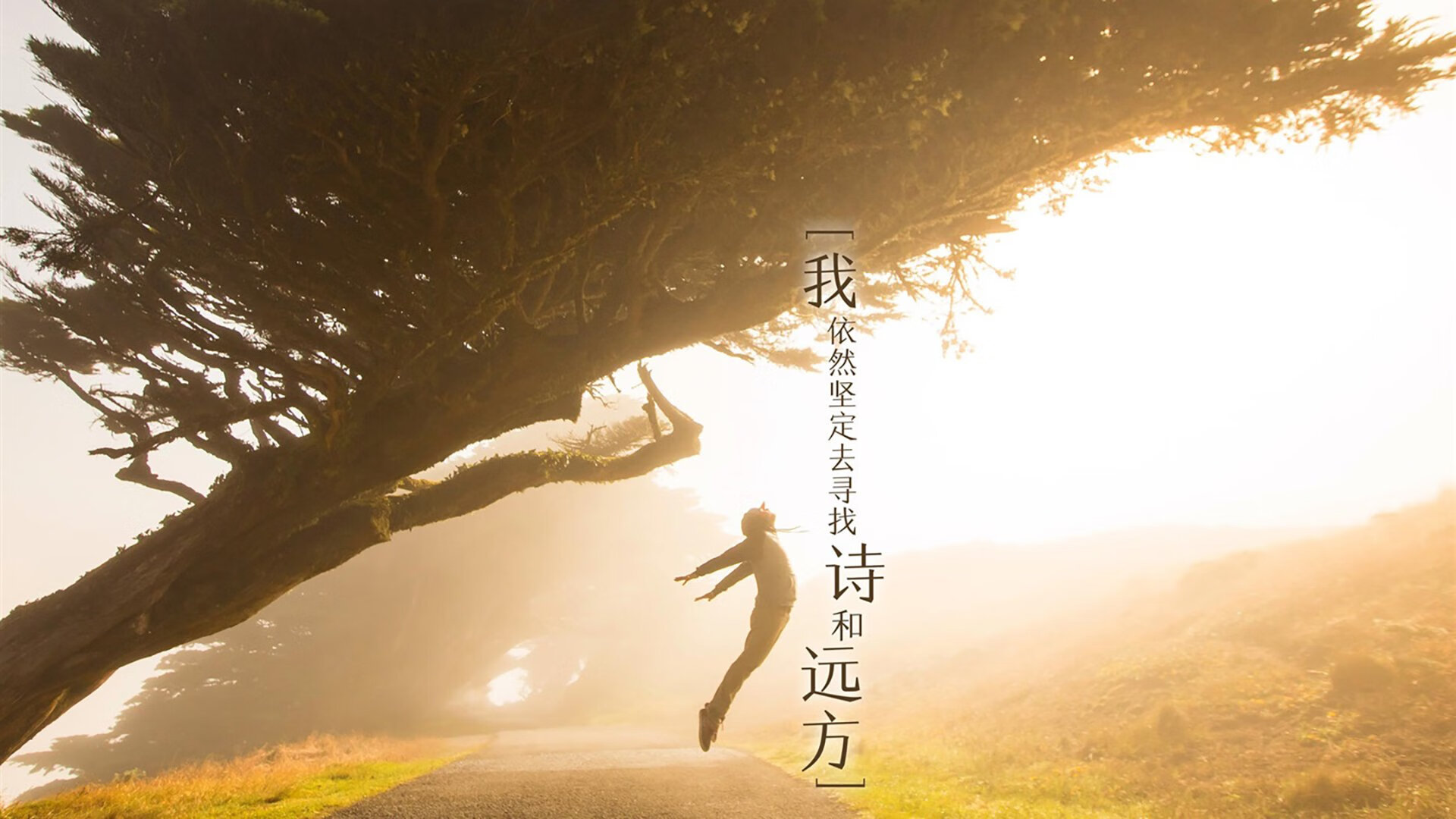 枫叶红透绿茵场,2026世界杯E组焦点战,加拿大如何用钢铁防线与费利克斯的魔法,完成对五星巴西的史诗级碾压